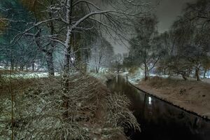 Park Sielecki Sosnowiec Zima 2021.jpg