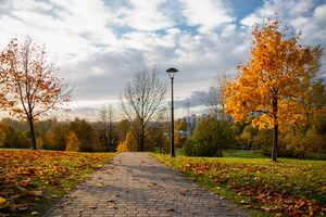 Park Środula, Sosnowiec, Jesień 2021.jpg