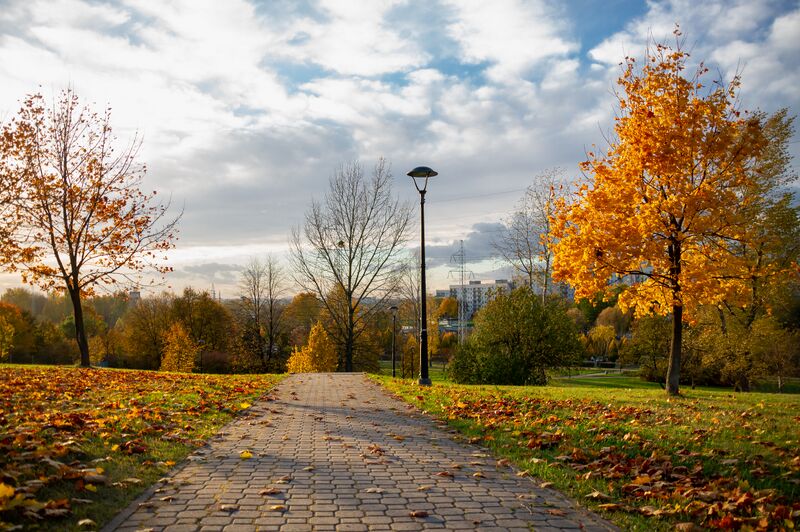 Plik:Park Środula, Sosnowiec, Jesień 2021.jpg