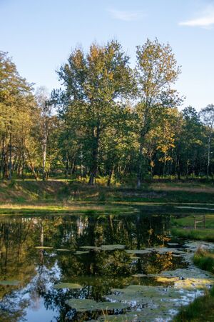 Rów kalny, Park Tysiąclecia, Milowice, Sosnowiec.jpg