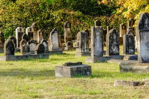 Old Jewish cemetery Sosnowiec Poland 3.jpg