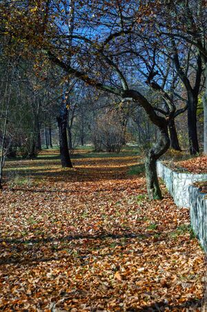 Park Wygoda, Sosnowiec - 01.jpg