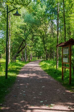 Tablice informacyjne, oświetlenie, Park Tysiąclecia, Milowice.jpg