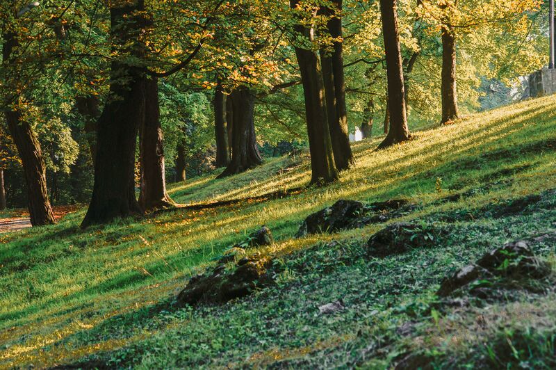 Plik:Sosnowiec, Park Dietla 003.jpg
