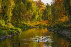 Park Sielecki Przemsza Sosnowiec Jesień.jpg