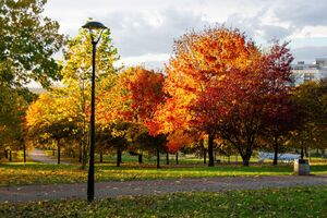 Park Środula, Sosnowiec - 18.jpg