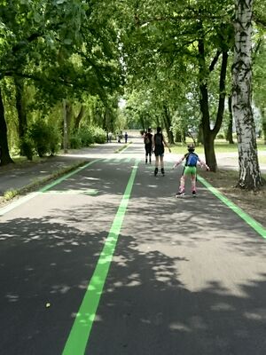 Tor dla rolek park sielecki Sosnowiec.jpg