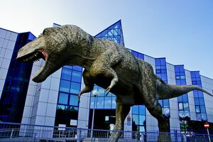 Muzeum Wydziału Nauk o Ziemi Uniwersytetu Śląskiego w Sosnowcu.jpg