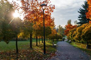 Park Środula, Sosnowiec - 16.jpg