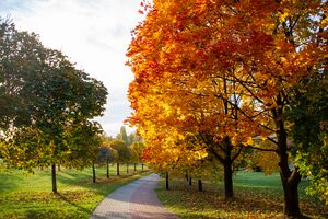 Park Środula, Sosnowiec - 10.jpg
