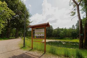 Park Tysiącilecia, Milowice, Sosnowiec - 01.jpg