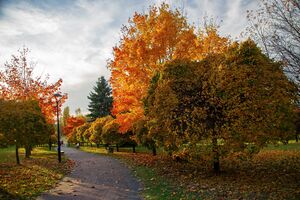 Fall 2021 in Środula Park, Sosnowiec, Poland.jpg