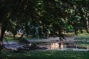 Sosnowiec, Park Dietla 005.jpg