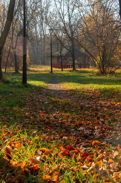 Plik:Park Wygoda, Sosnowiec - 03.jpg
